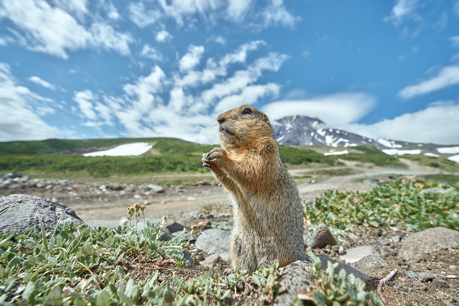 Service de presse du 11e concours photo Le plus beau pays