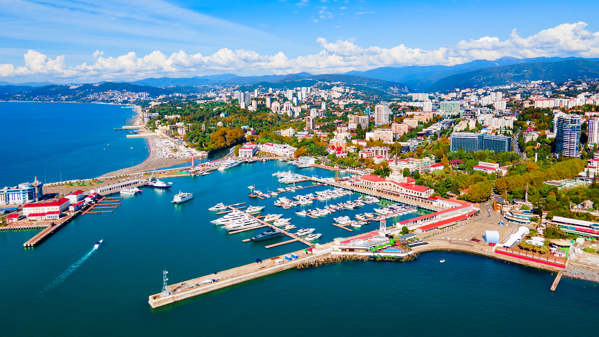 saiko3p/Getty Images