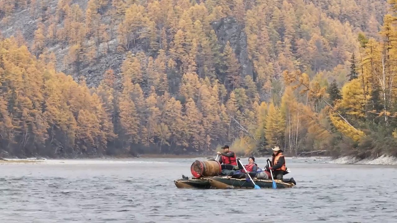 путешественникдв.рф