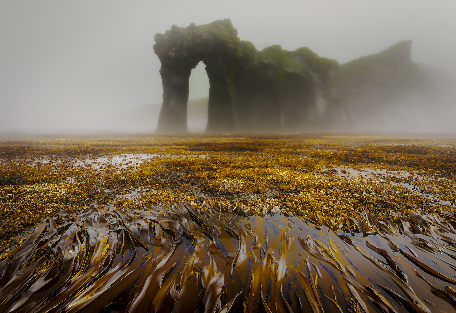 Alexánder Lavréntiev