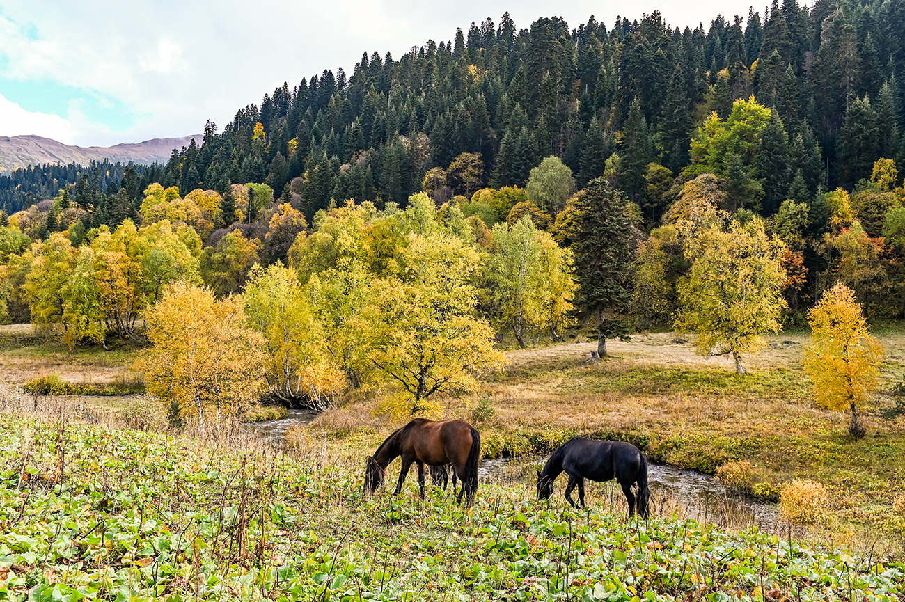 イワン・グブスキー / TASS