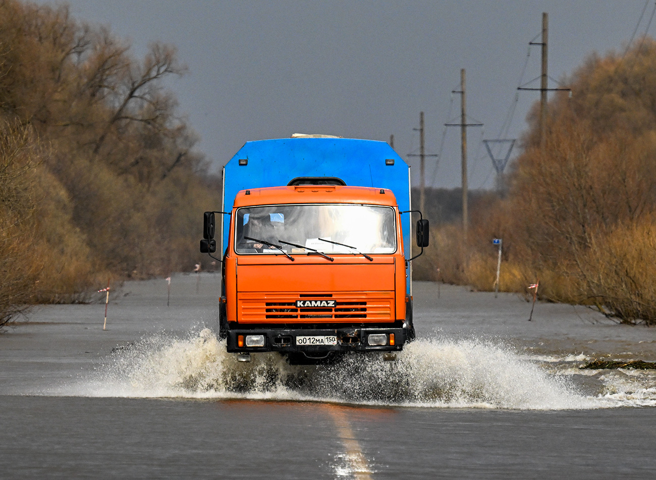 伊利亚·皮塔列夫/俄罗斯卫星通讯社 / Sputnik