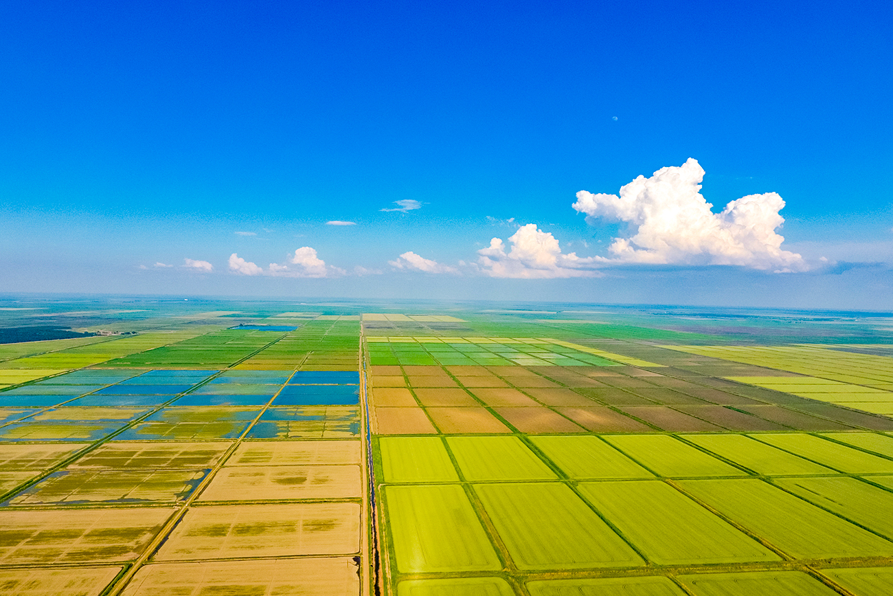 列昂尼德·埃雷梅丘克/盖蒂图片社（Getty Images） / Getty Images