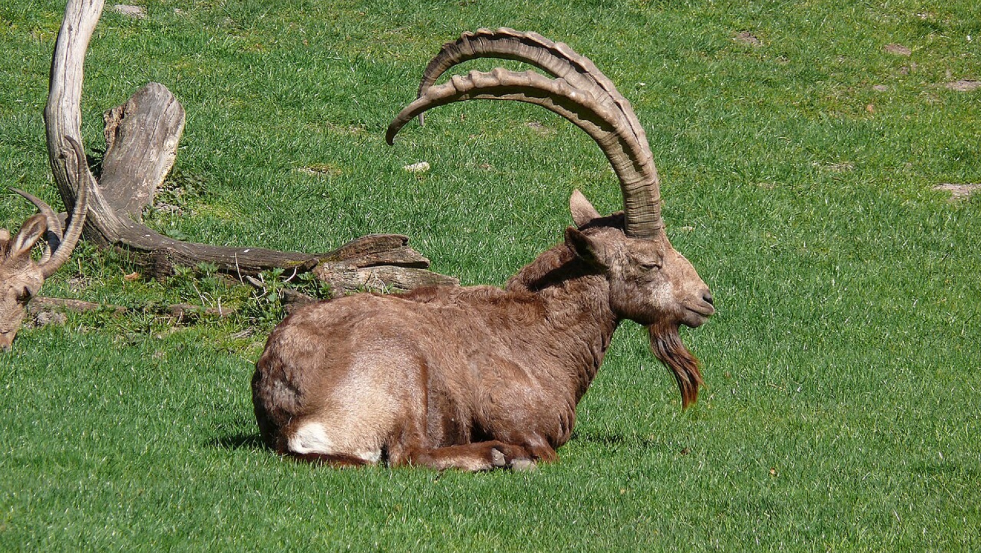 Gunnar Ries (CC BY-SA 2.5)