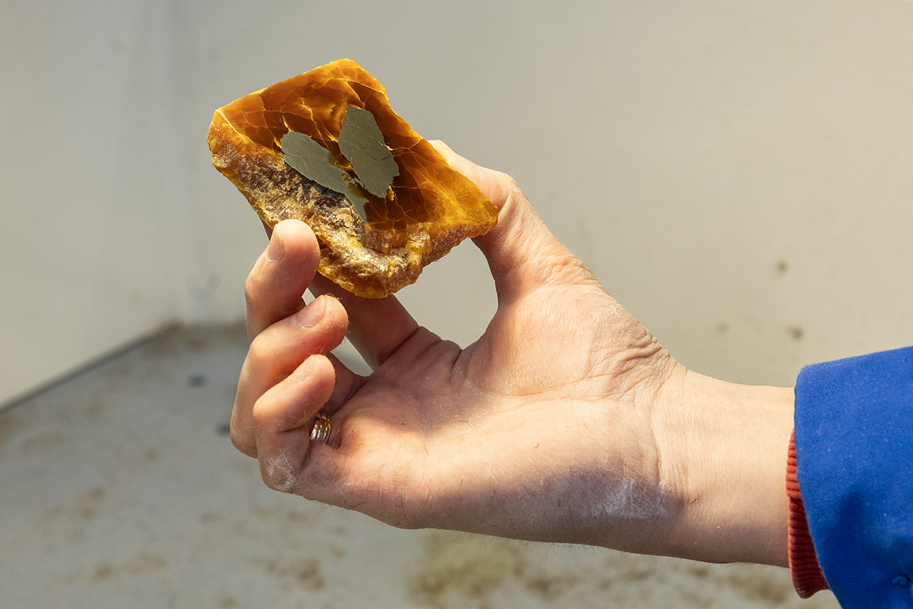 阿列克谢·斯米什利亚耶夫（Aleksei Smyshliaev）/盖蒂图片社（Getty Images） / Getty Images