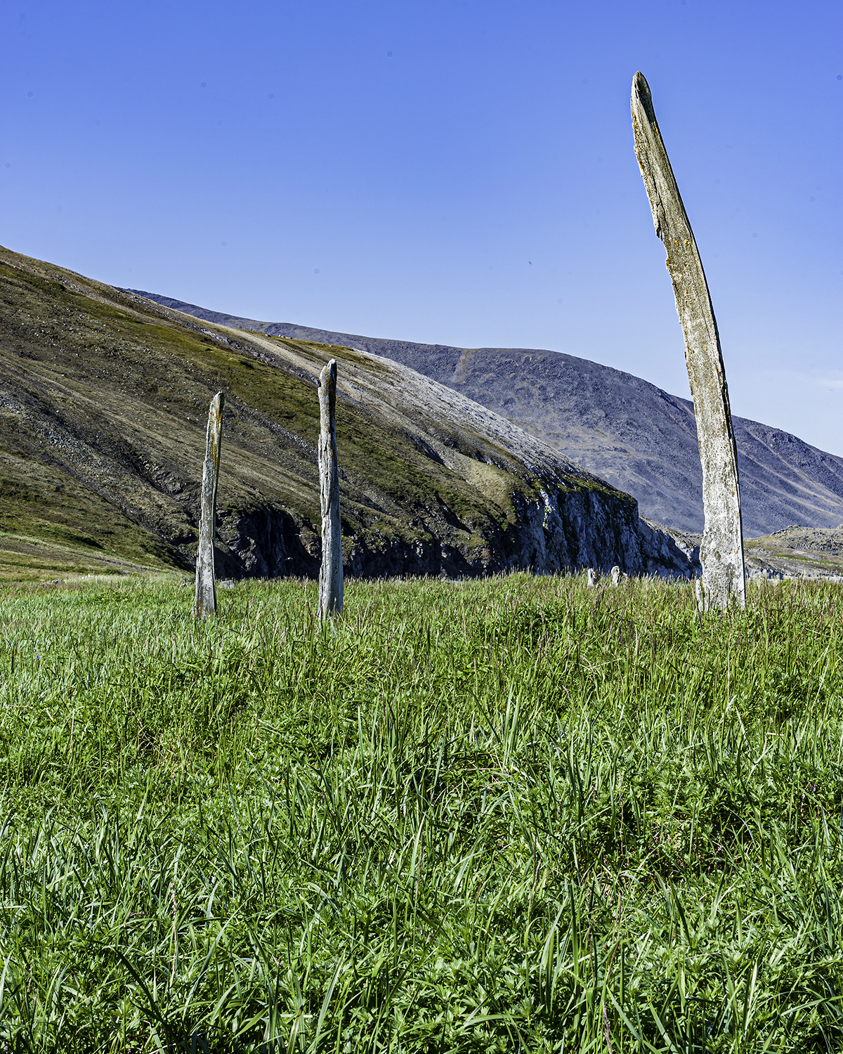 Gerald Corsi/Getty Images