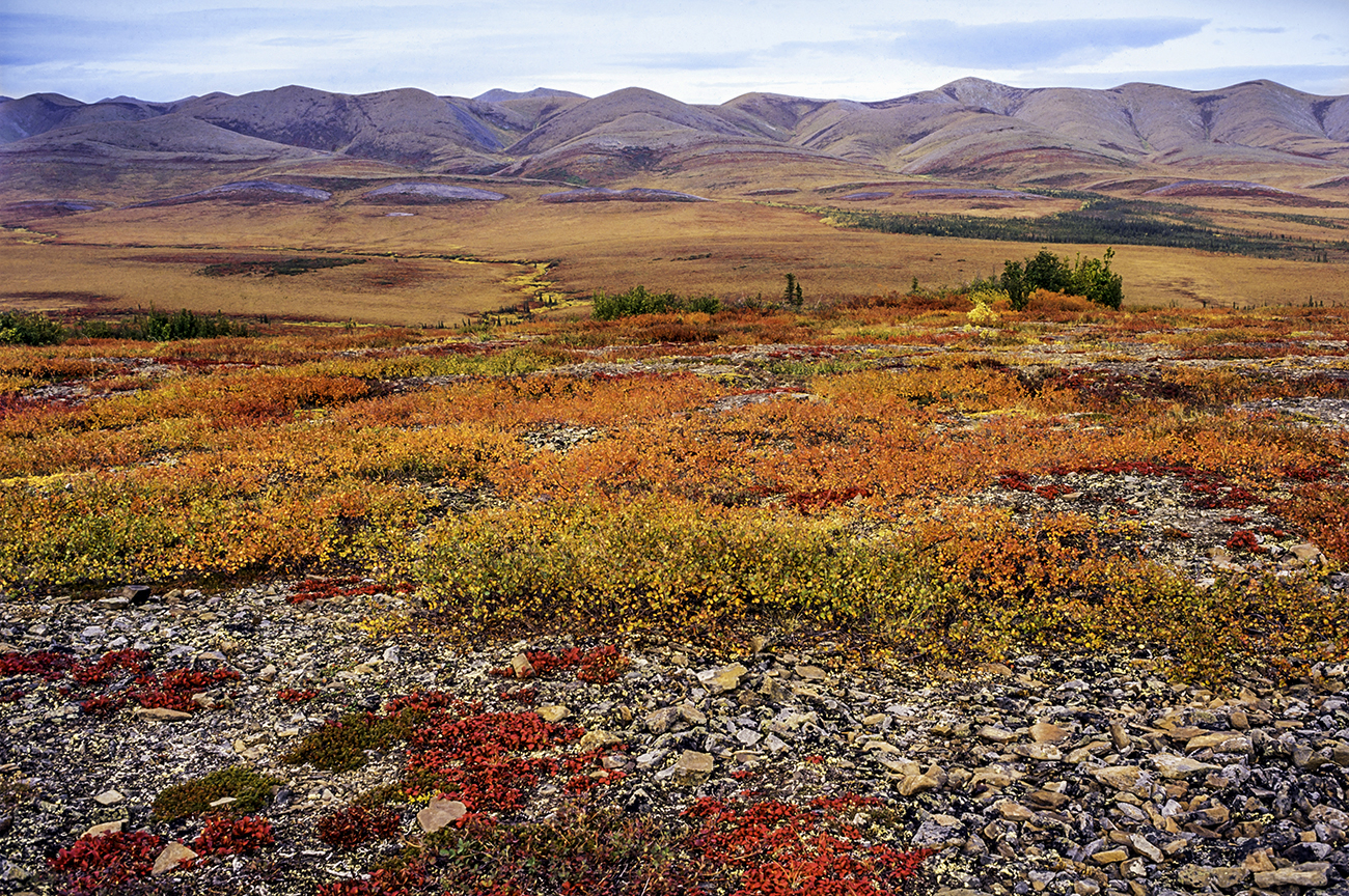 Pierre Longnus / Getty Images