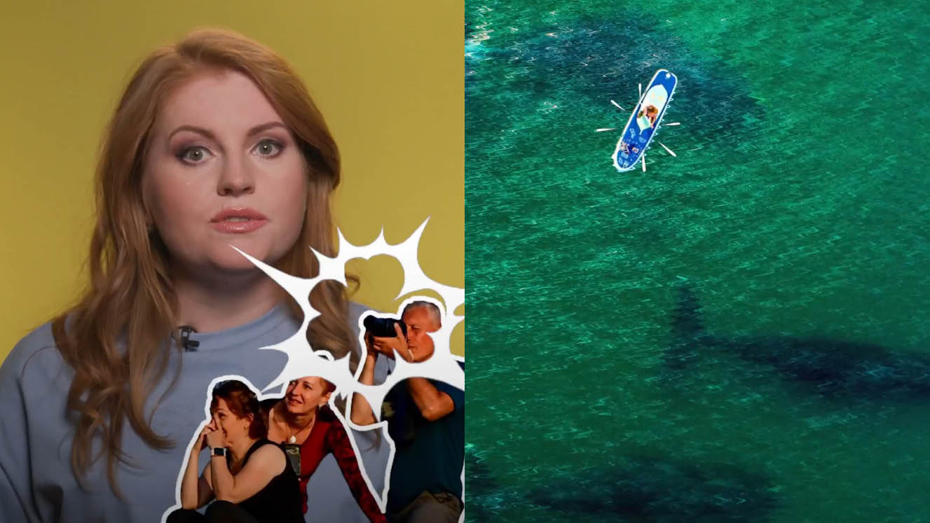 Анна Сорокина