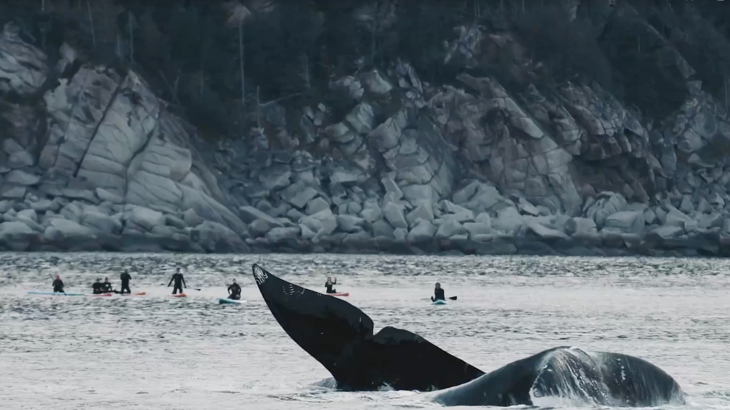 путешественникдв.рф