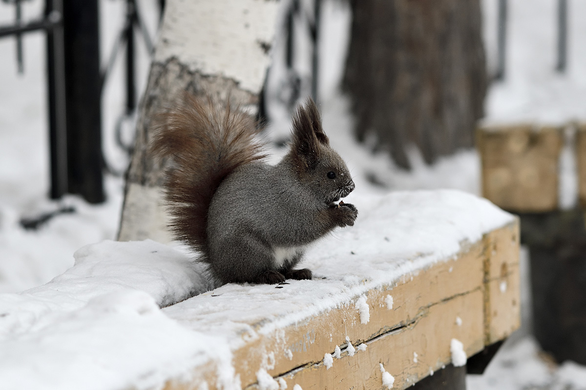 Alexey Abramov/500px / Getty Images