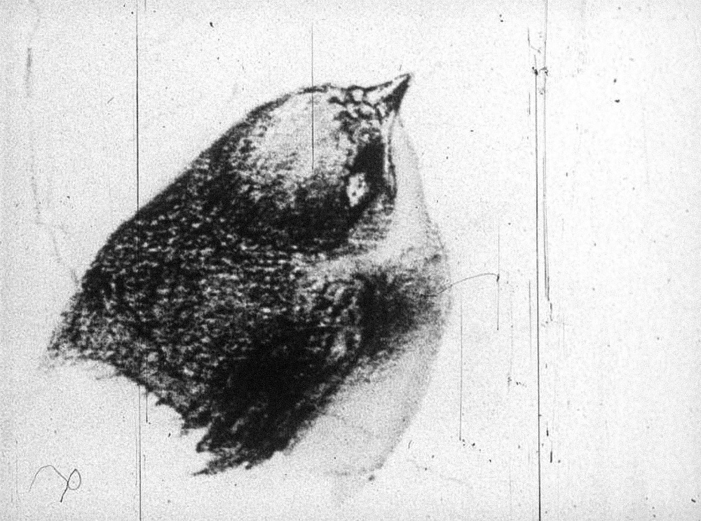 Velimir Khlebnikov (filmstrip), 1988