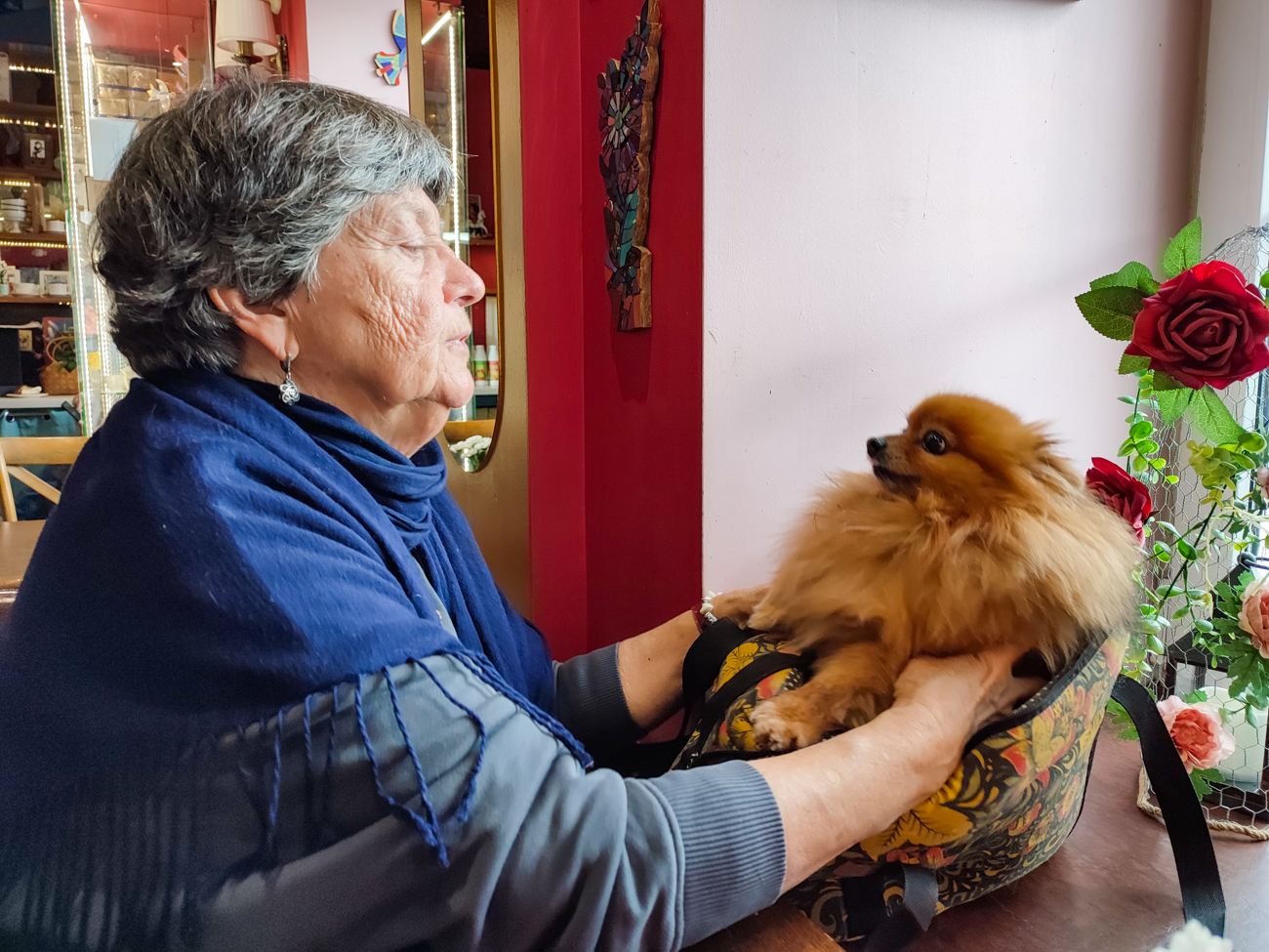 Журнал «Нация»