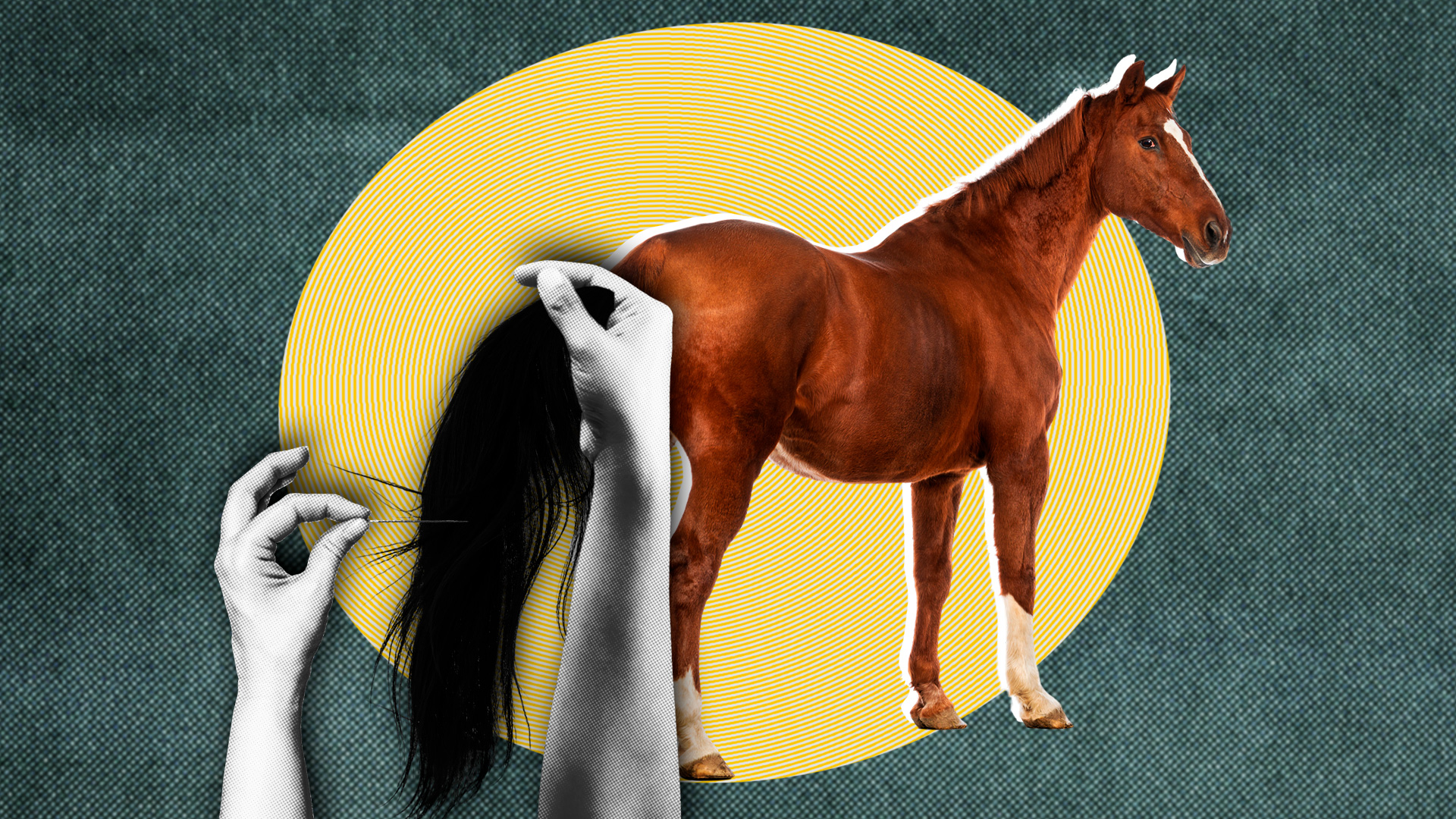 Kira Lissítskaia (Foto: GlobalP, Ben Stevens, Olga_968, 29mokara, Eudyptula/Getty Images)