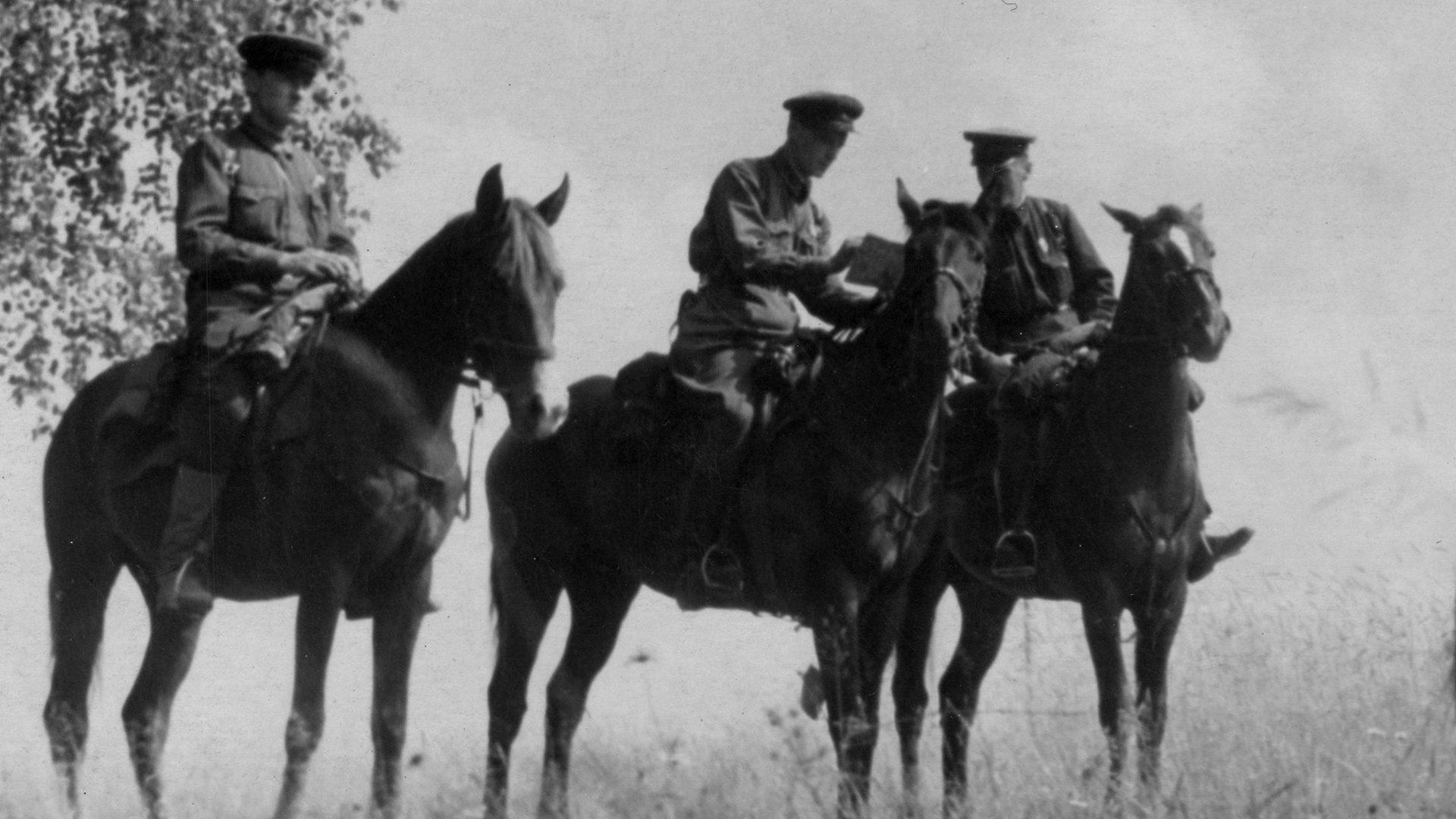 О. Кнорринг/Красная звезда / TASS