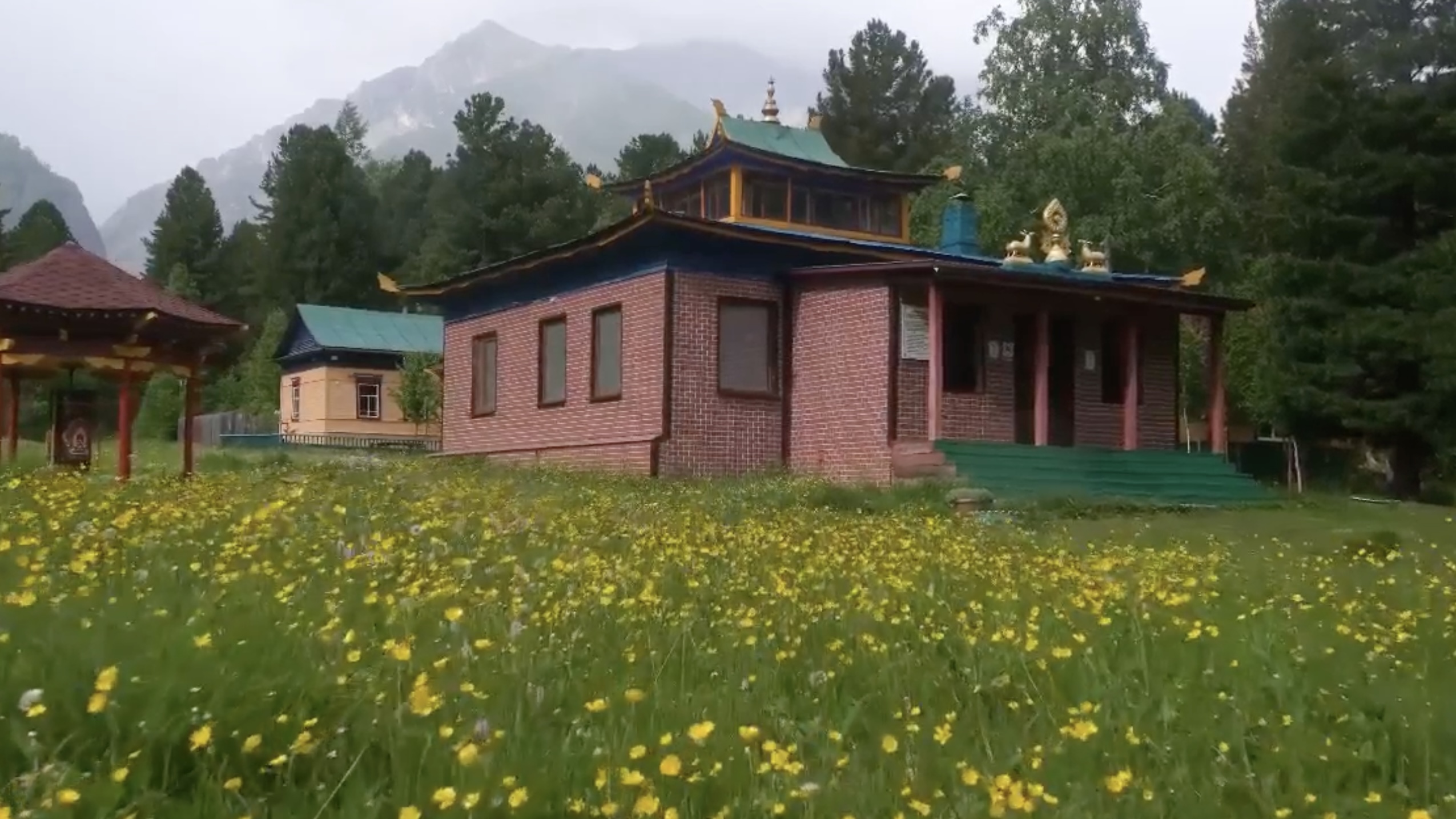 путешественникдв.рф