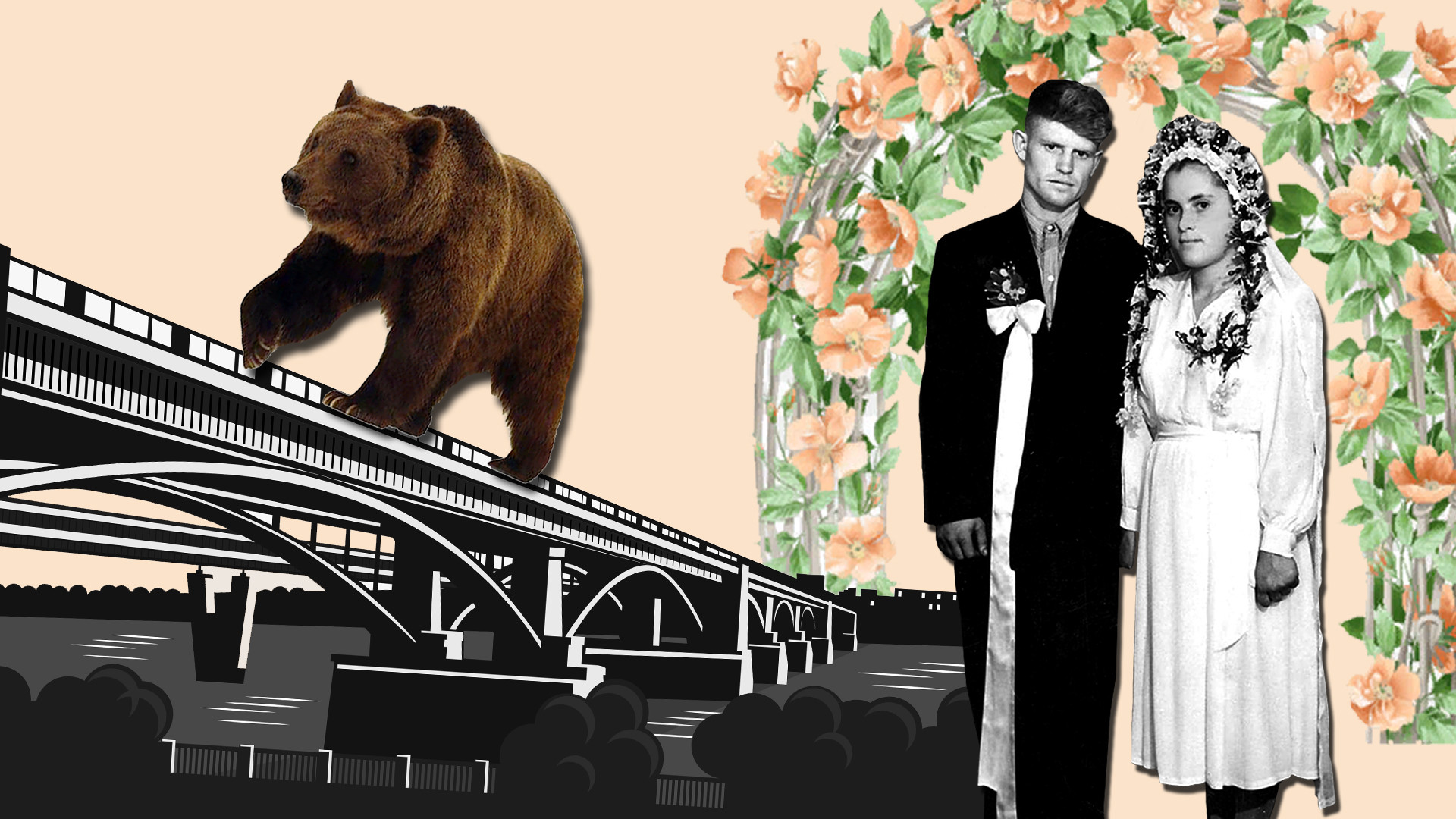 ОмГУ; Legion Media