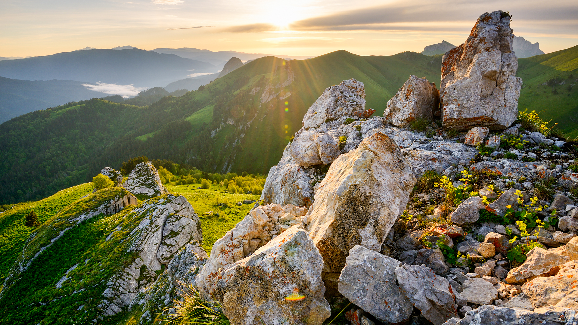 Yevgen Timashov/Getty Images