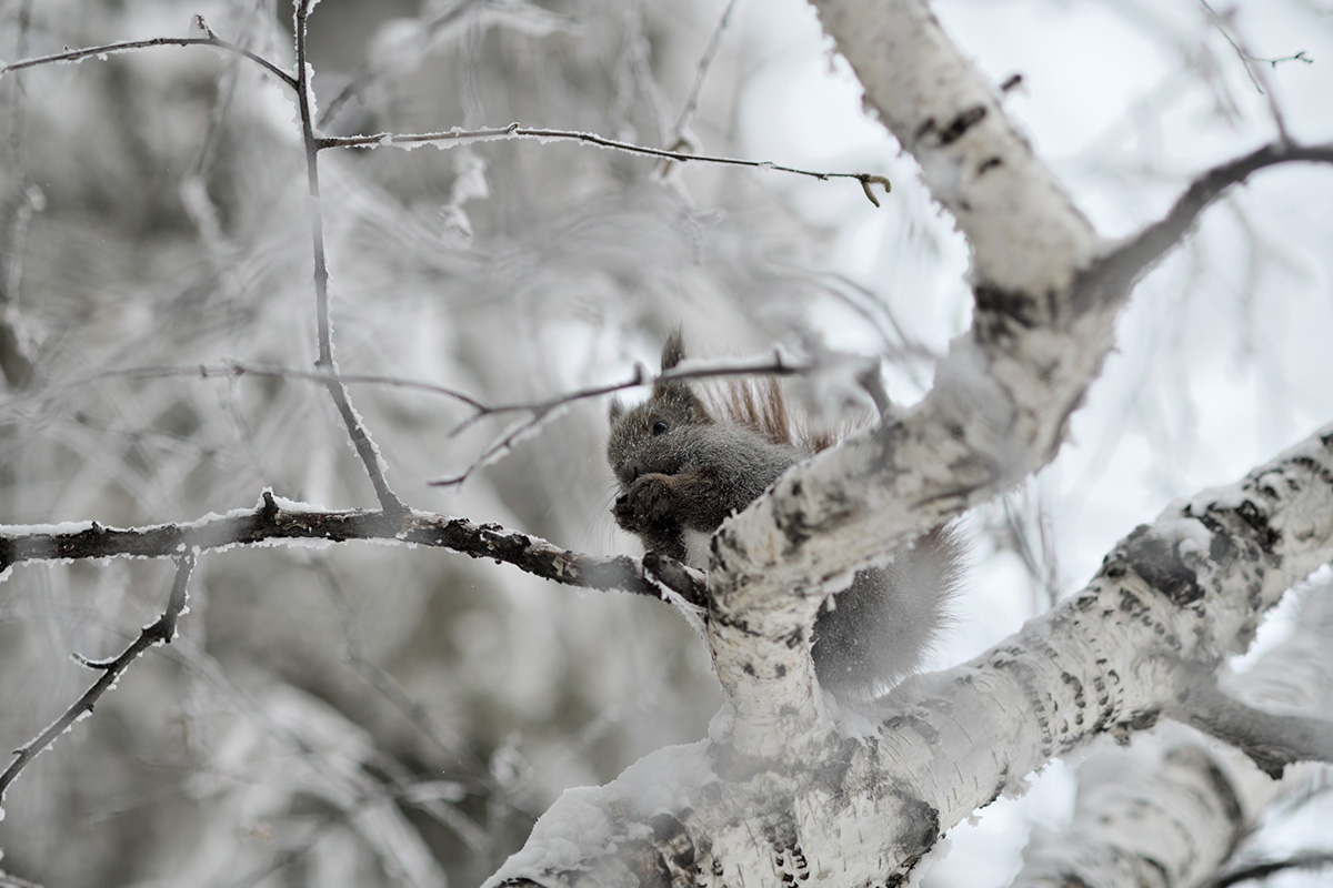 Alexey Abramov/500px / Getty Images