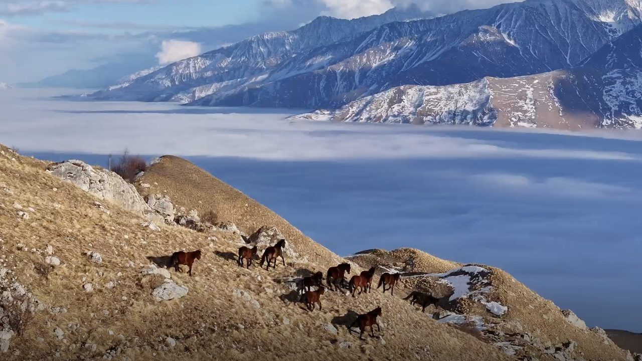 Roszapovedcenter,  North Ossetia Nature Reserve,  Ruslan Dzarakhokhov