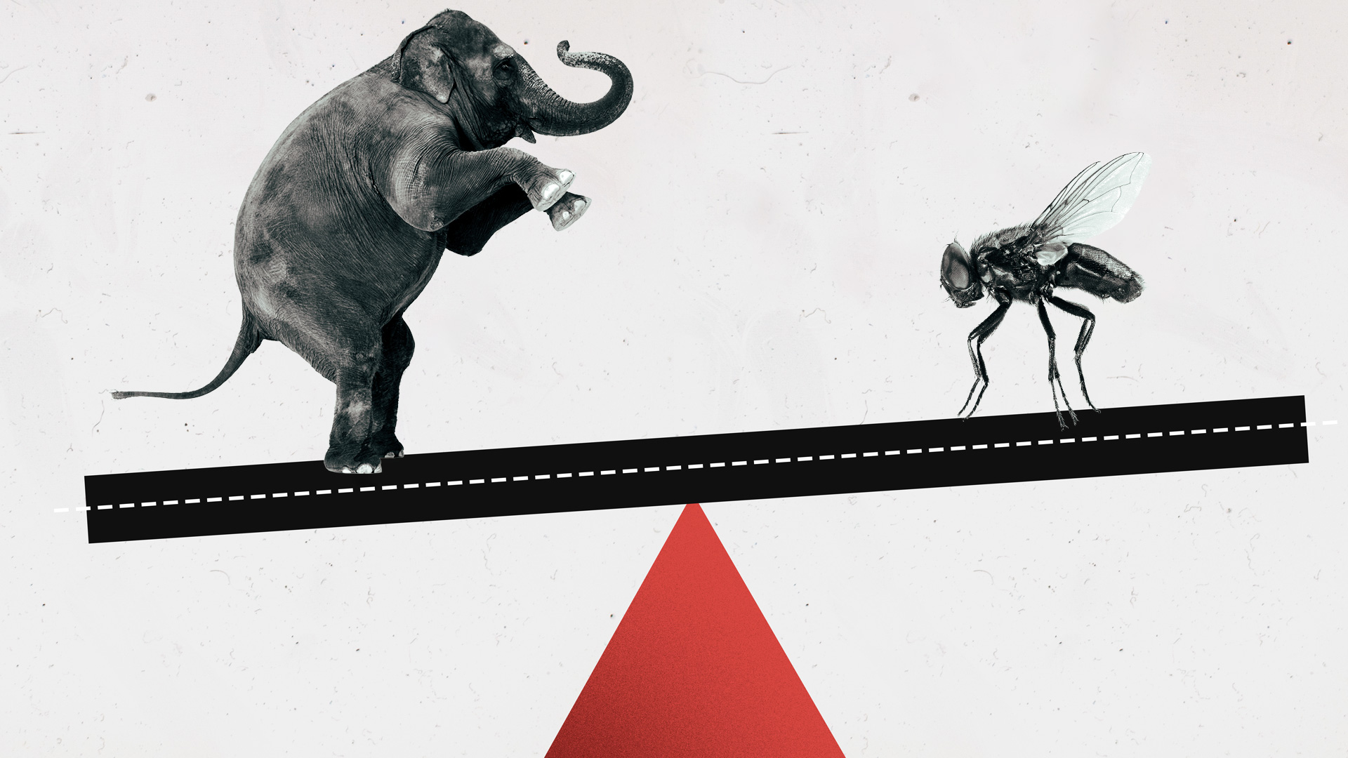 Kira Lissítskaia (Foto: Digital Zoo, Don Farrall, Deagreez/Getty Images)