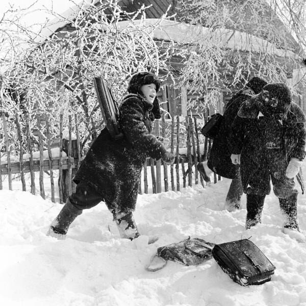 Всеволод Тарасевич/МАММ/МДФ