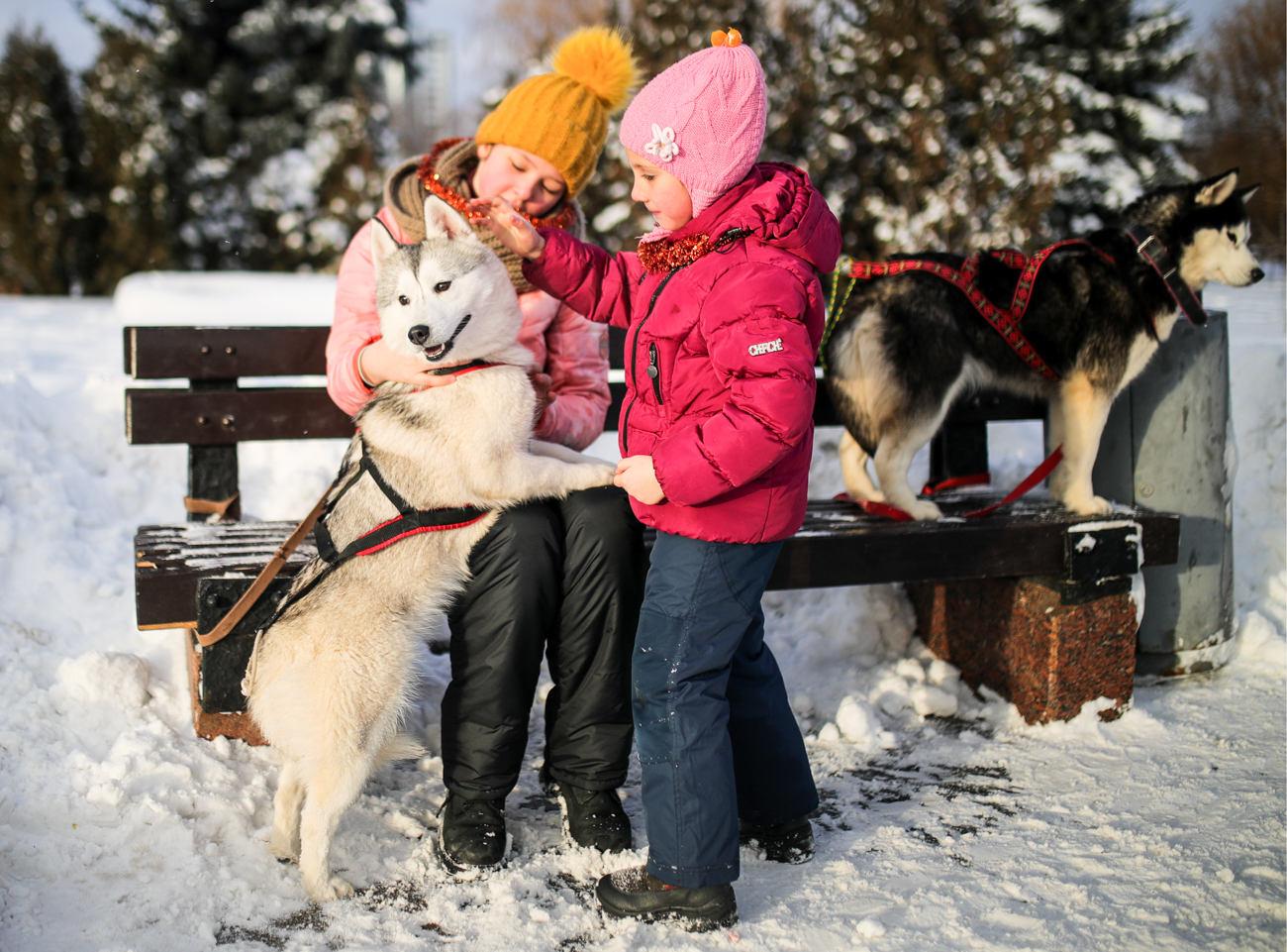 Сергей Бобылев / TASS