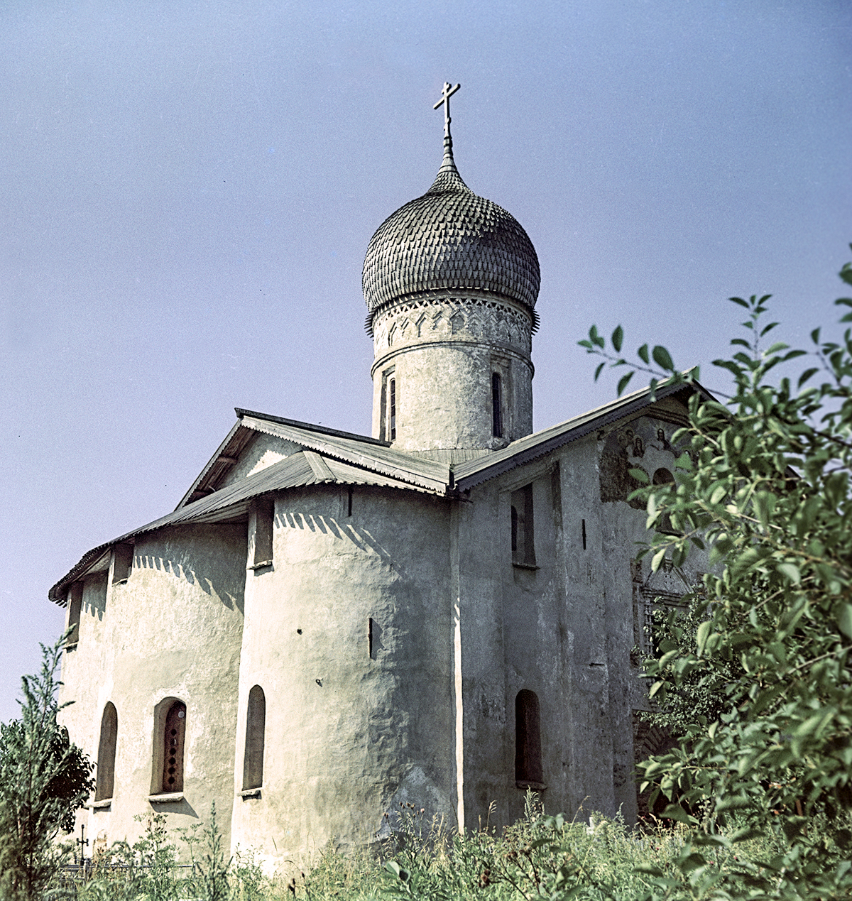 ペトレンコ / Sputnik