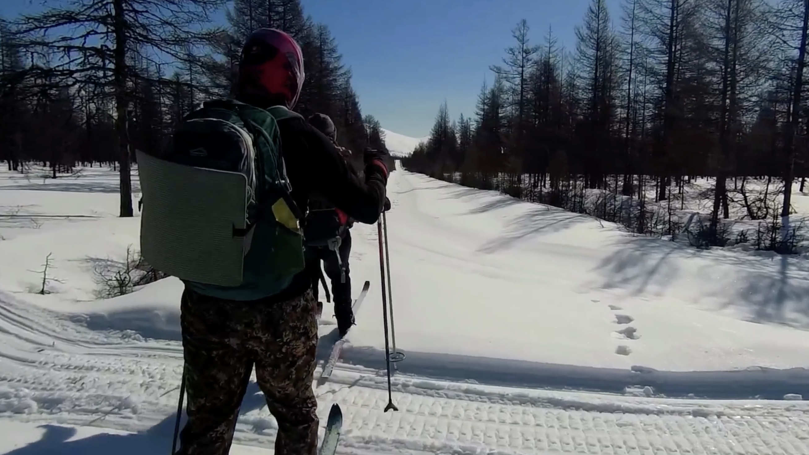 путешественникдв.рф