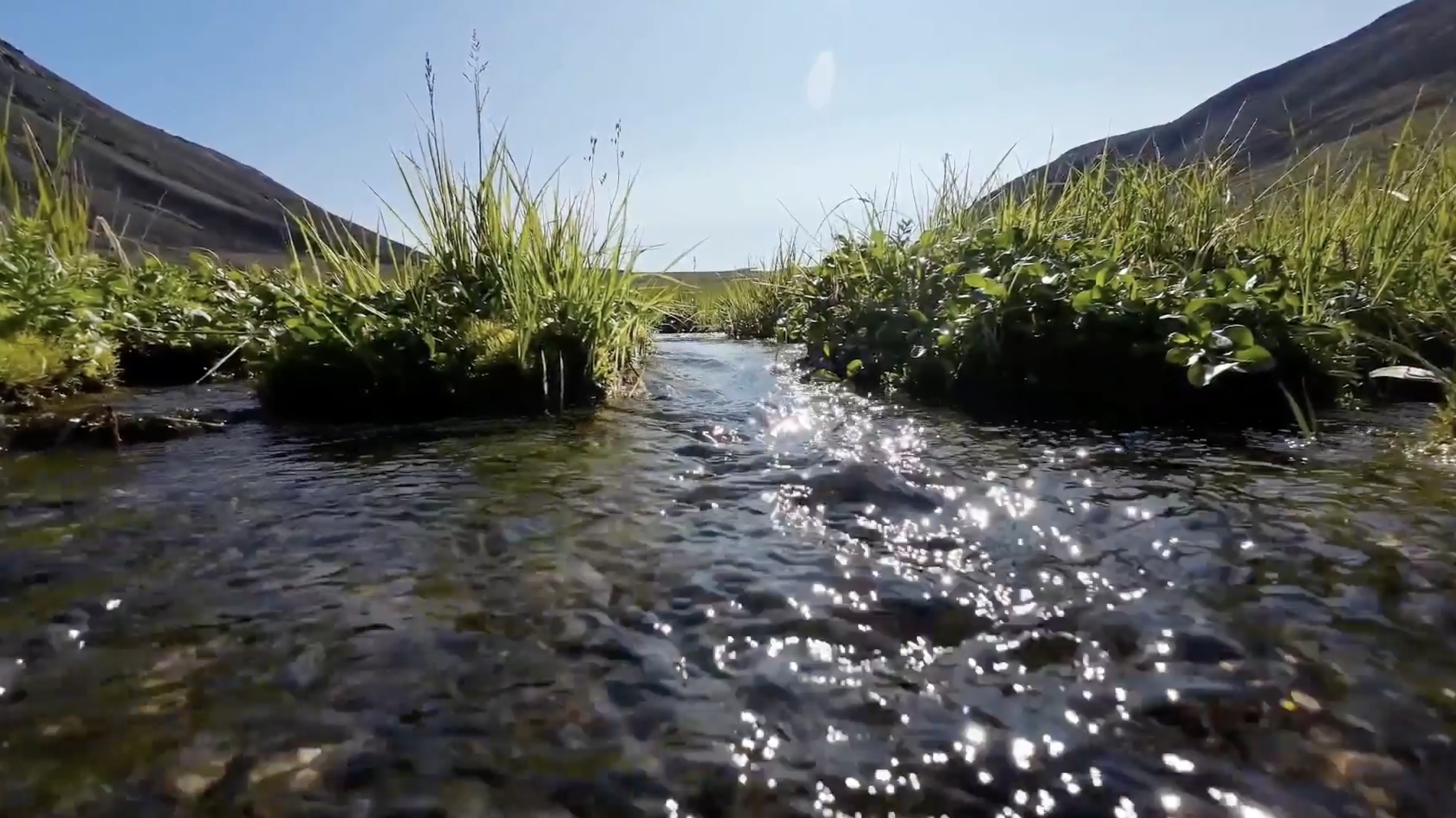 путешественникдв.рф
