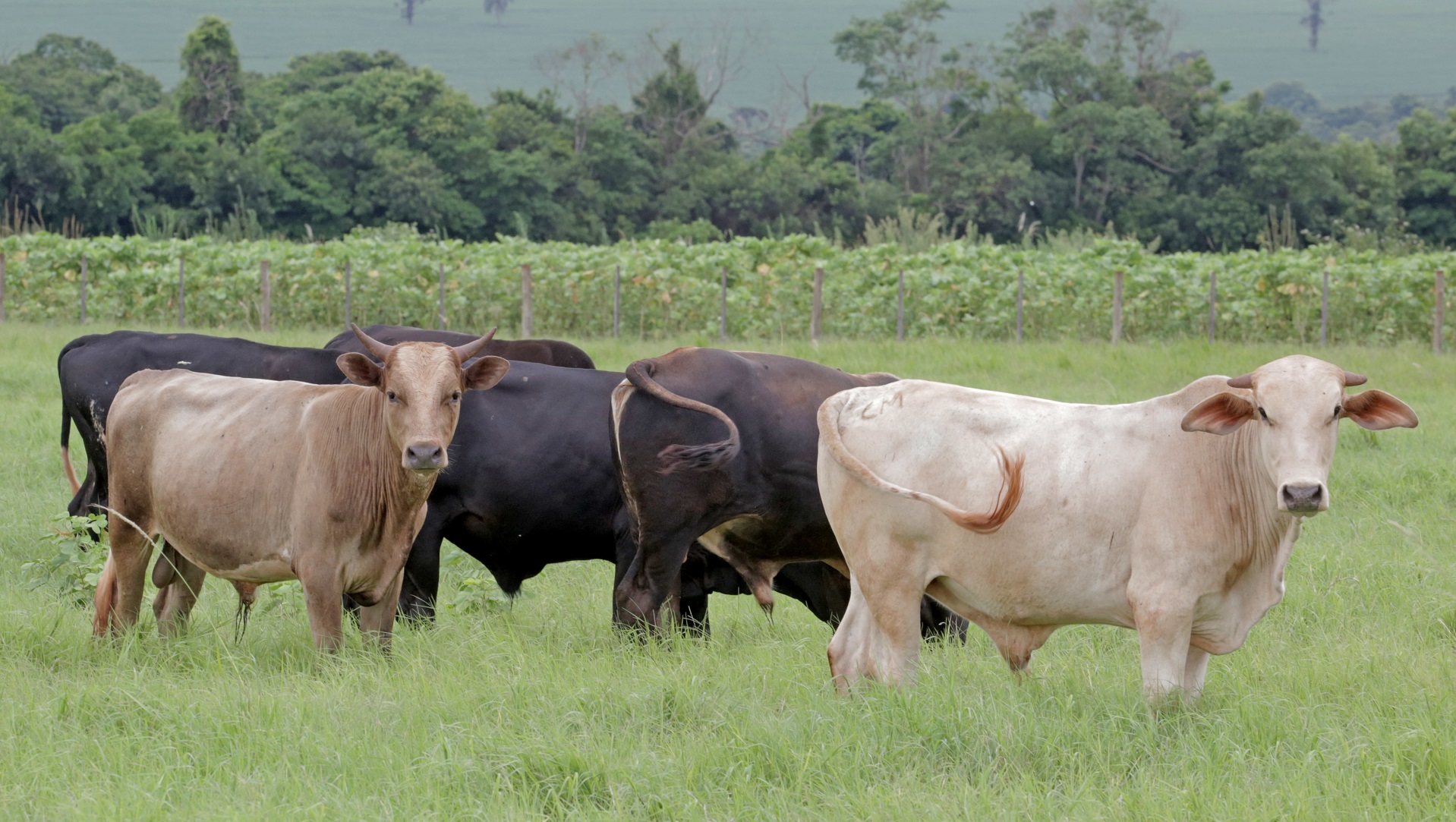 Global Look Press via ZUMA Press