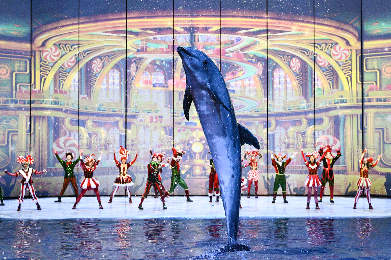 キリル・ジコフ / Sputnik