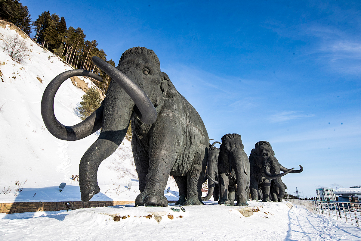 Stanislav Krasílnikov/TASS