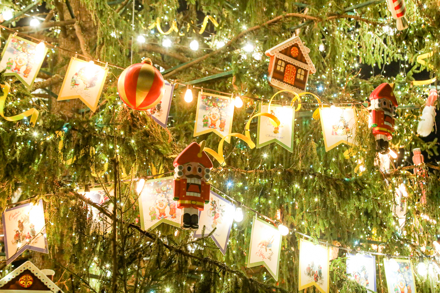 Викторија Виатрис