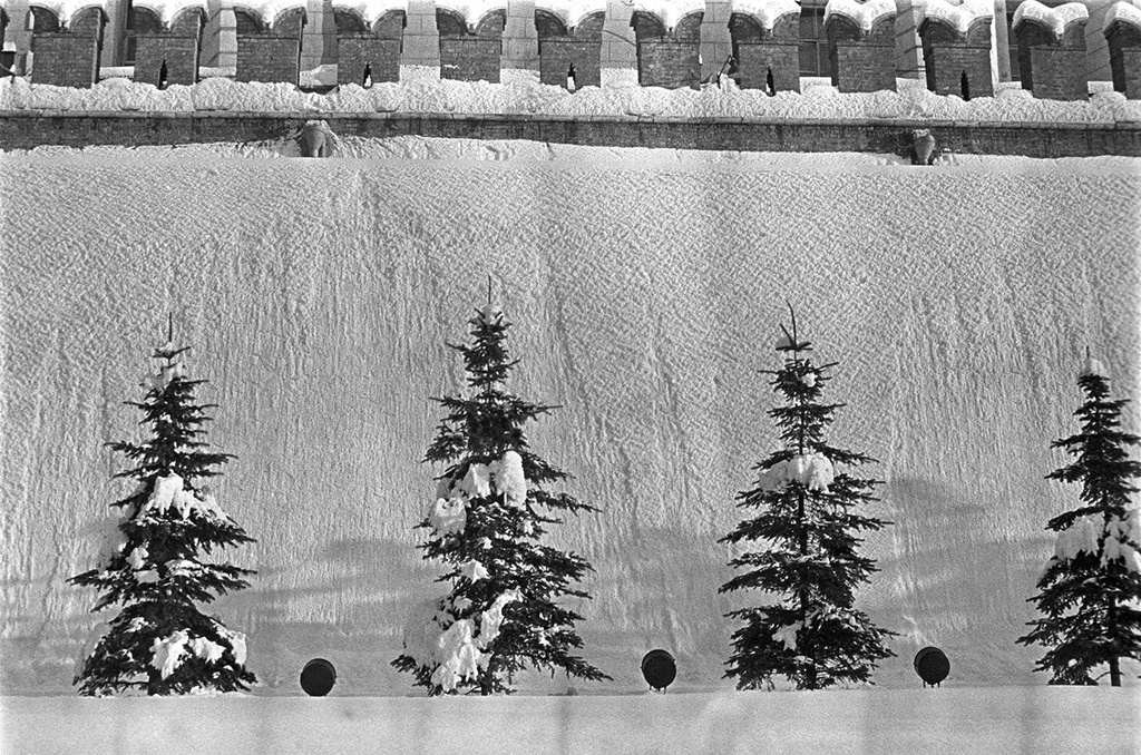 マリア・コサレワの家族アーカイブ