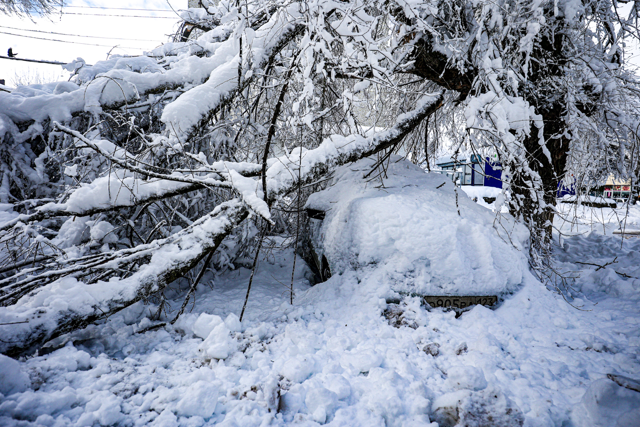 Vitaly Timkiv / Sputnik