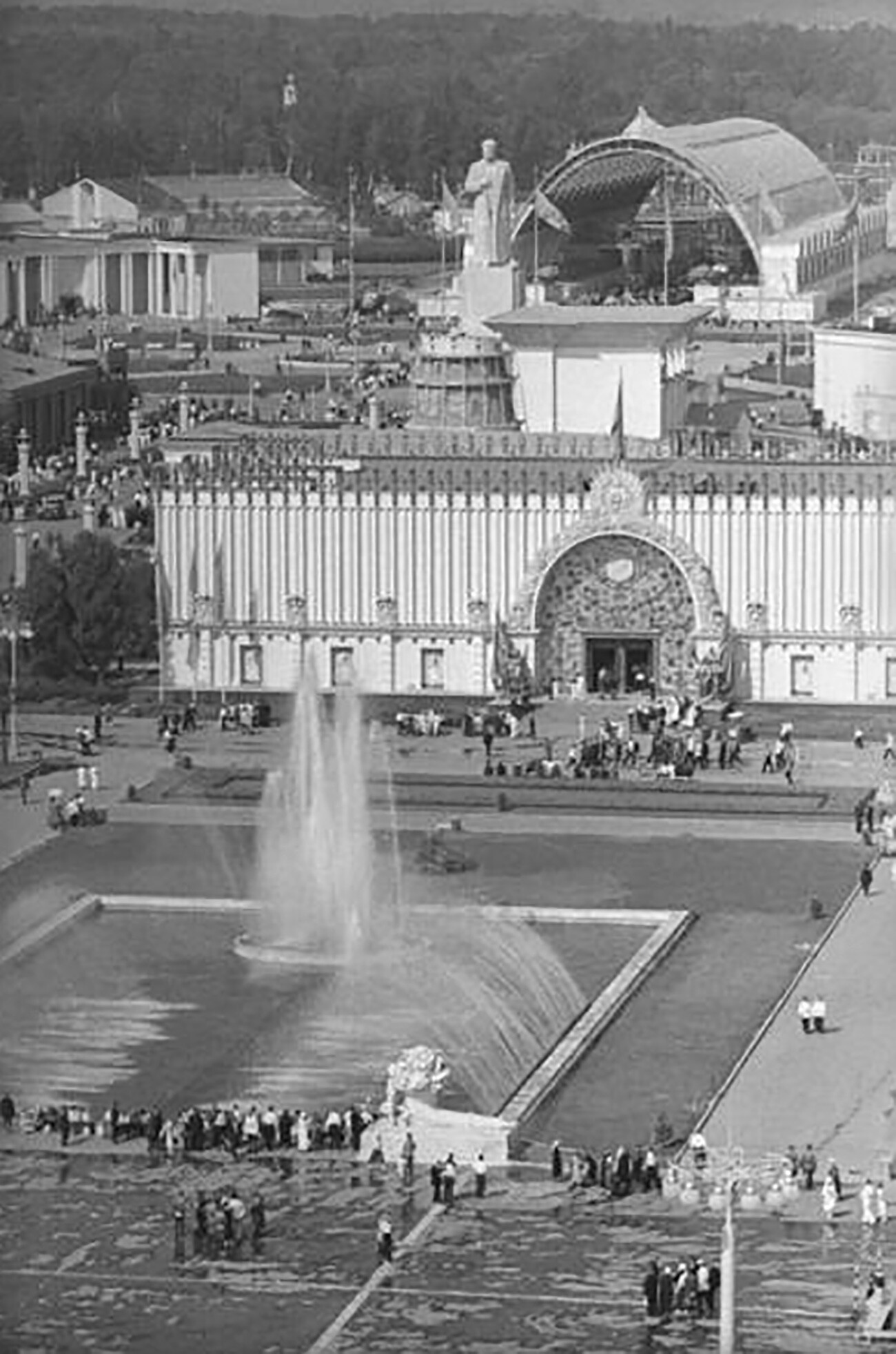 Владислав Микоша/МАММ/МДф/