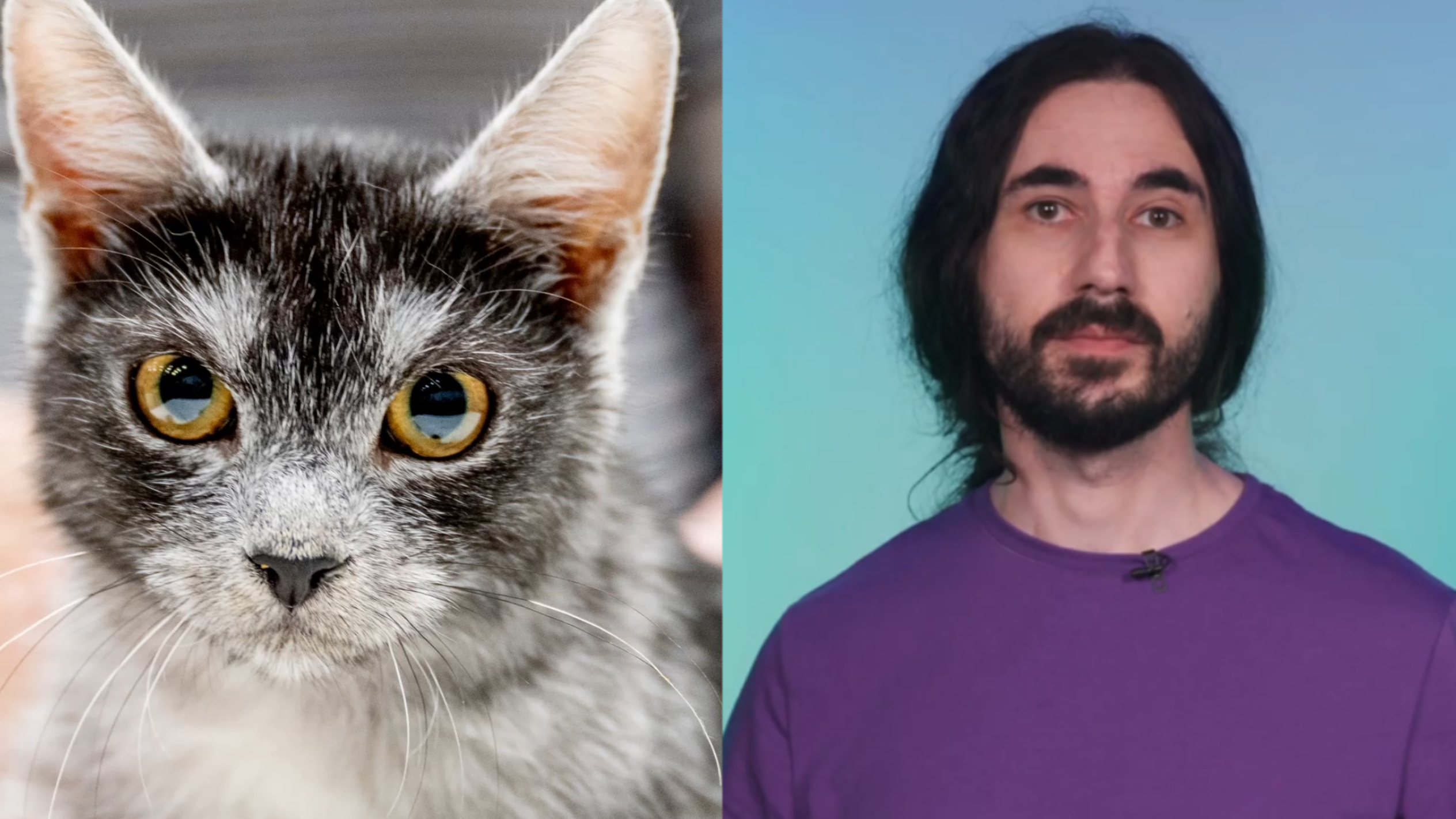 塔季扬娜·费久尼娜