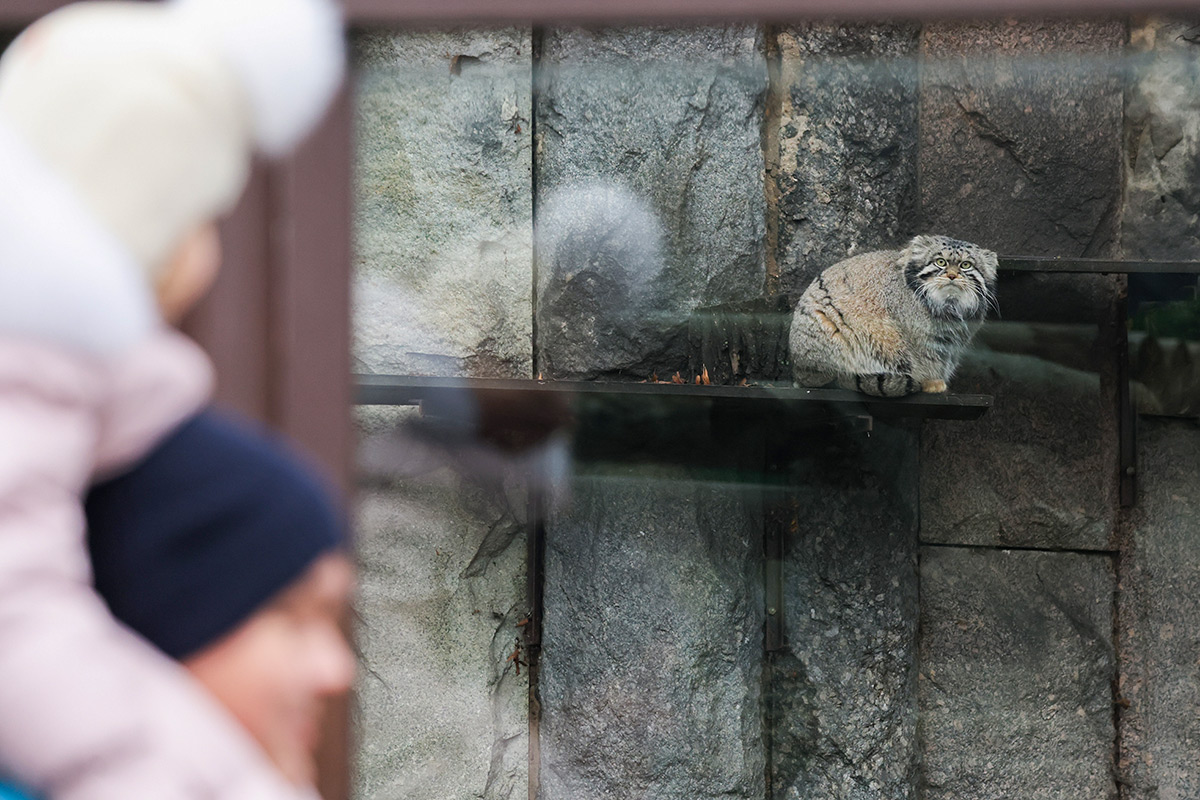 Vladimir Gerdo / TASS