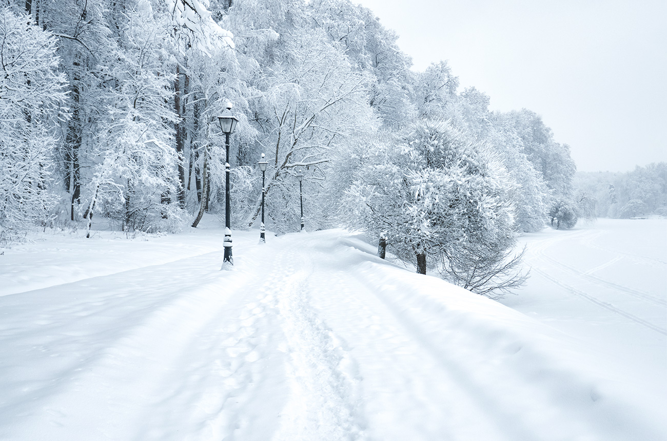 Aleksander Grishin / Global Look Press