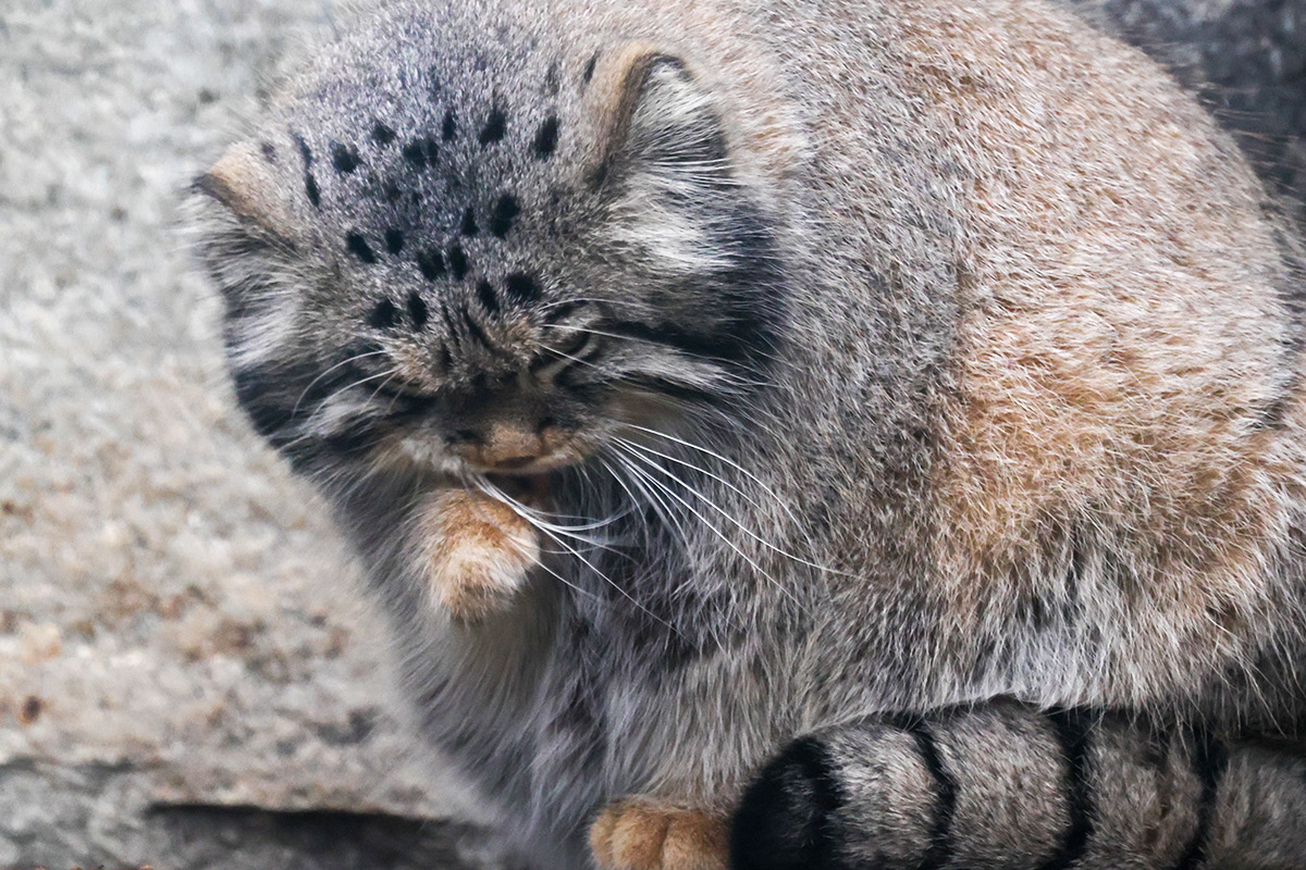 Владимир Гердо / TASS