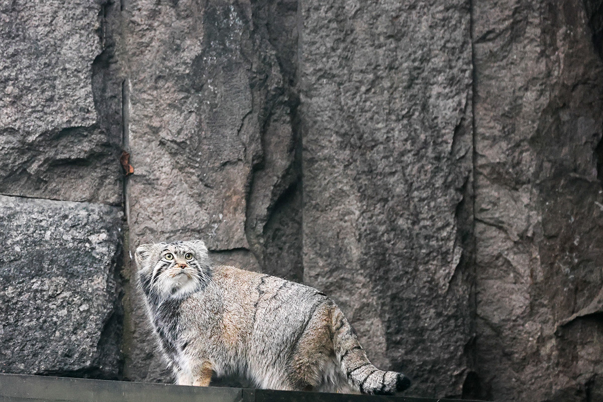 Владимир Гердо / TASS