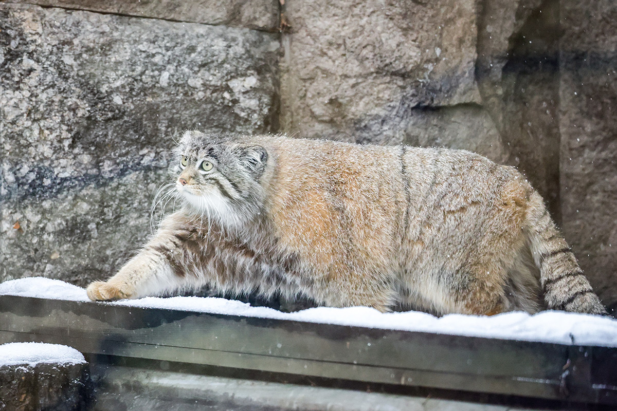 Владимир Гердо / TASS