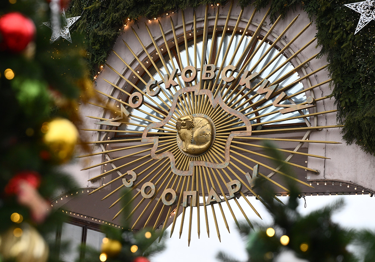 Кирил Жиков / Sputnik