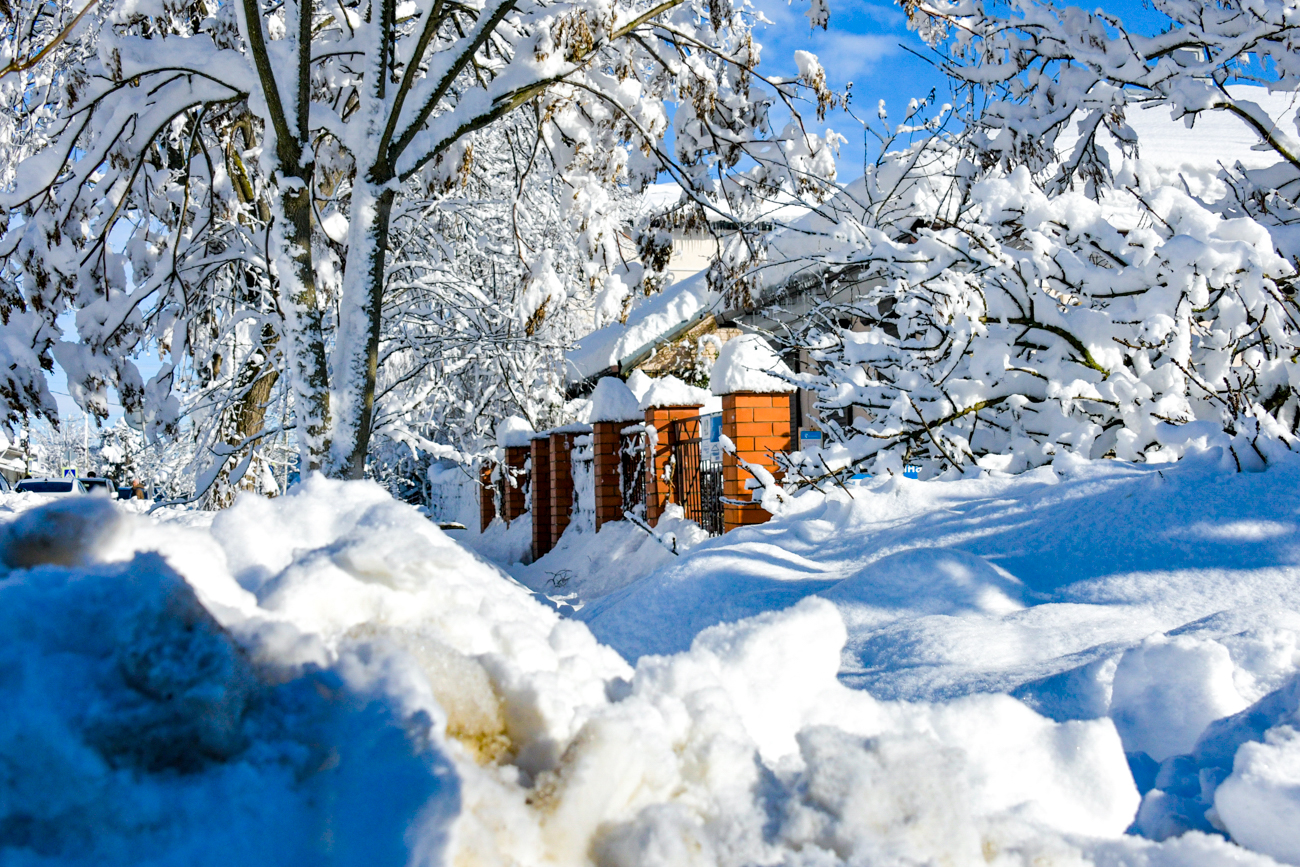 ロマン・ソコロフ / TASS