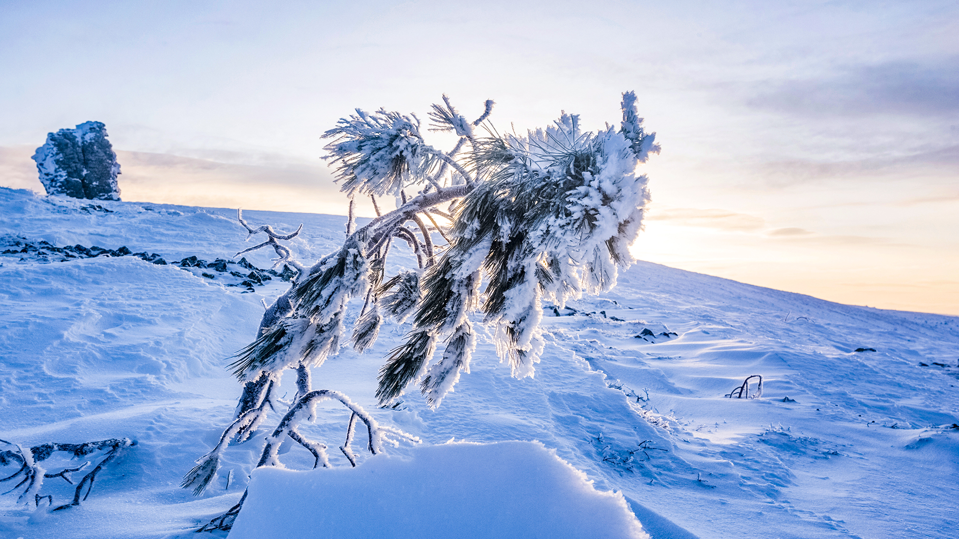 Ukususha / Getty Images