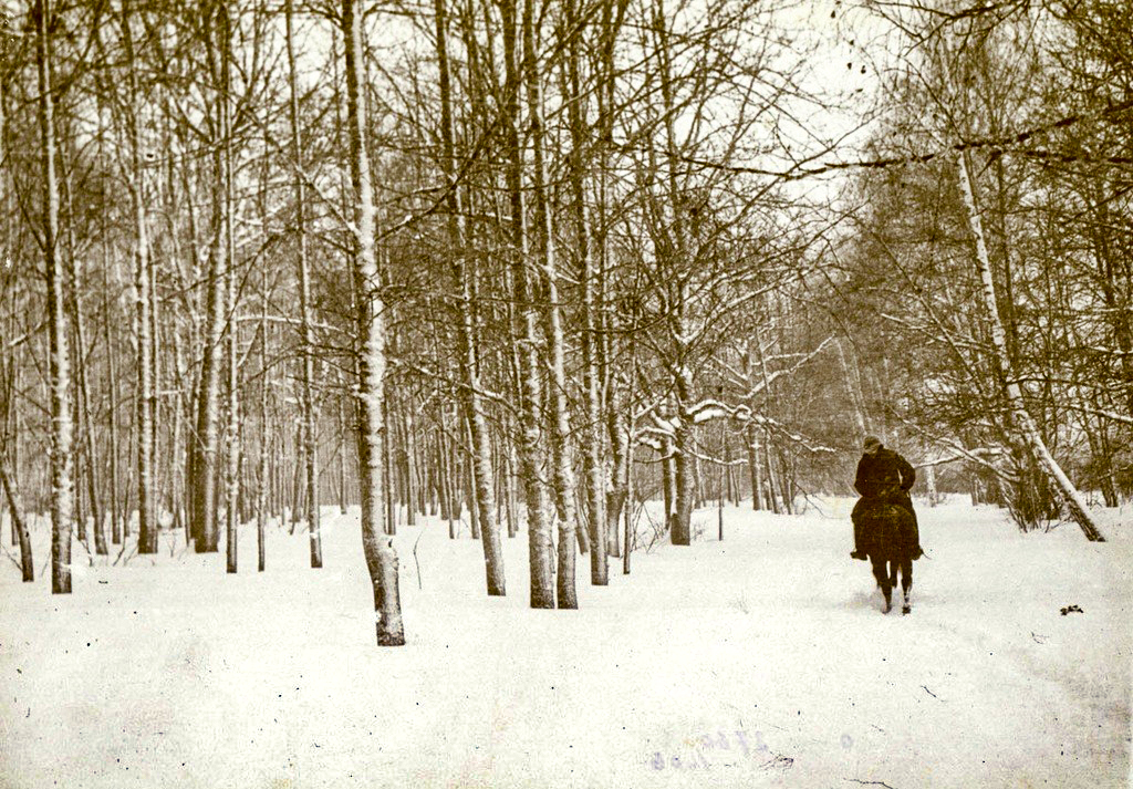 Vladimir Chertkov/Leo Tolstoy State museum
