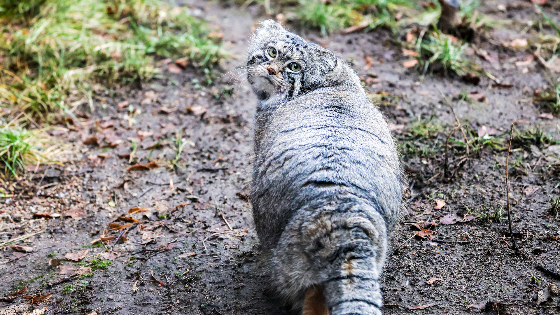 Vladímir Guerdo / TASS