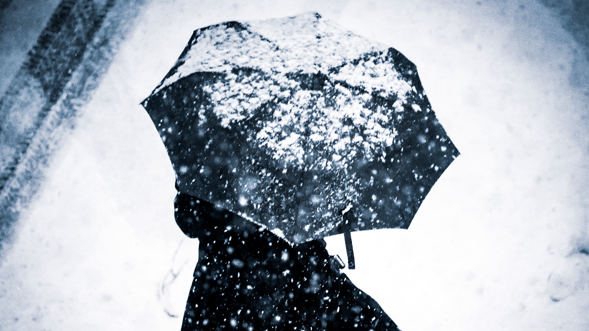 Ilja Rasin / Getty Images