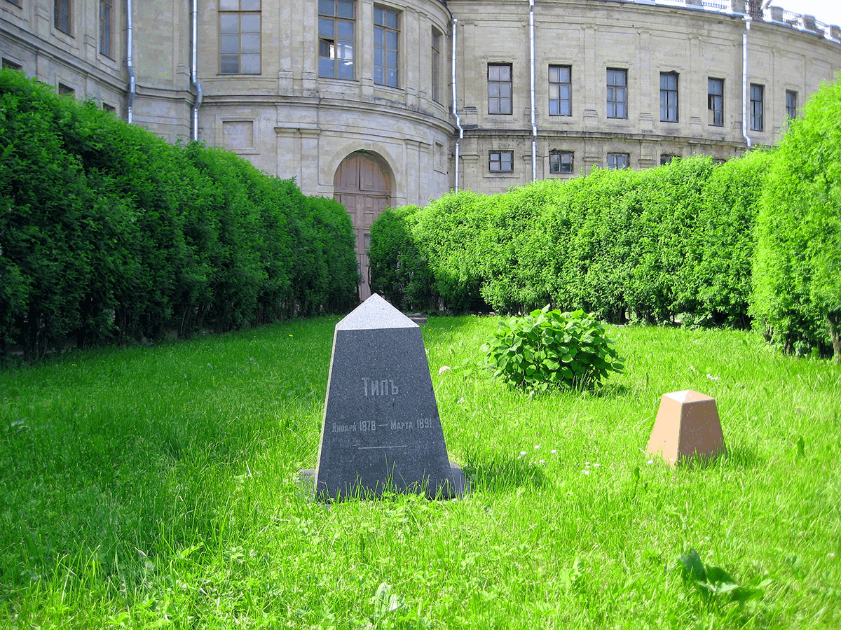 GAlexandrova (CC BY-SA 4.0)