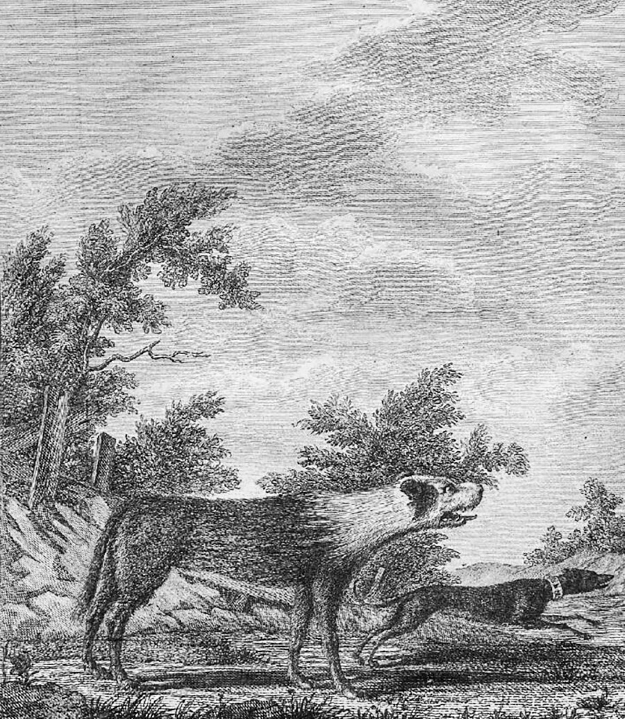 Звенигородски државни музеј-резерват